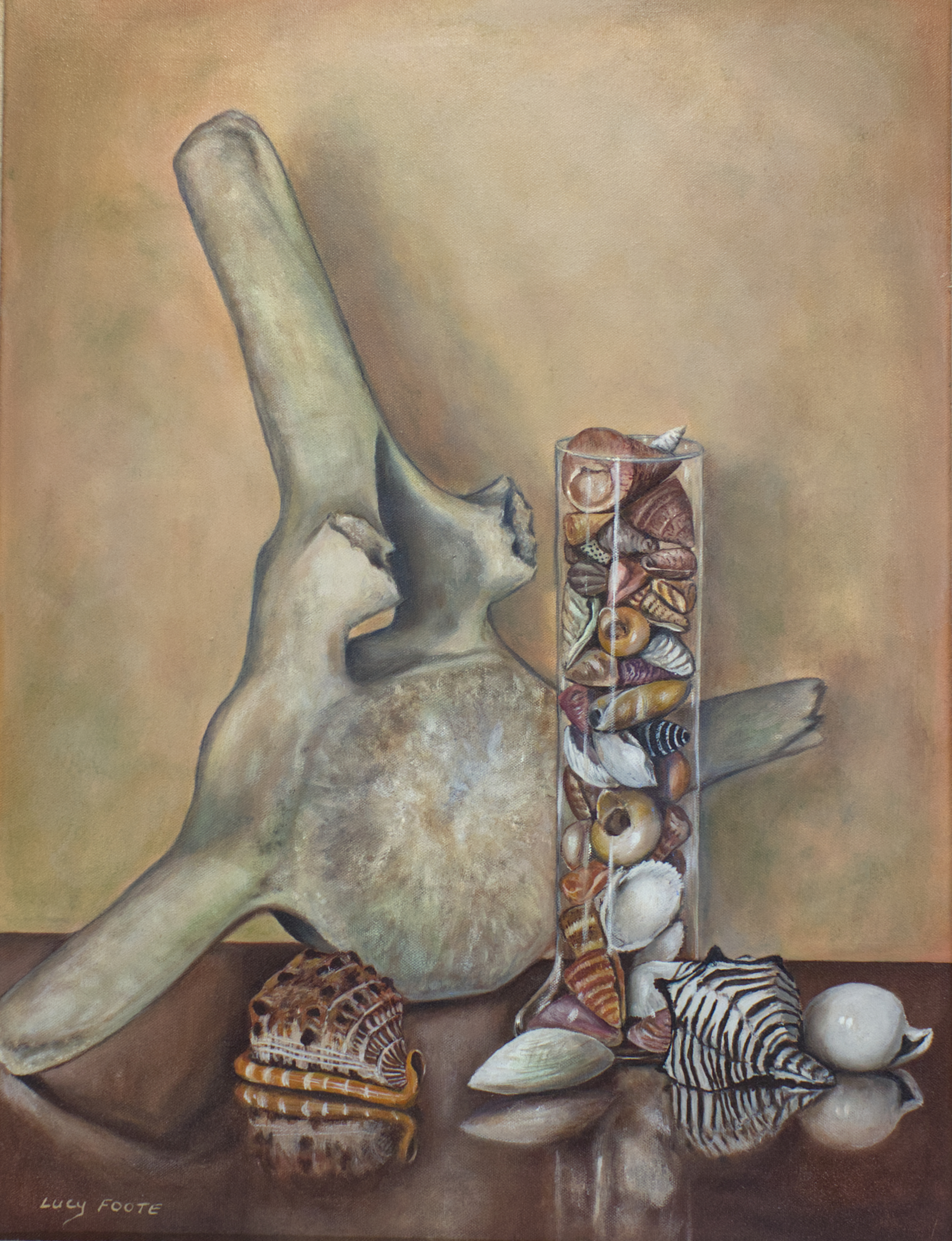 Whale Bone and Sea Shells